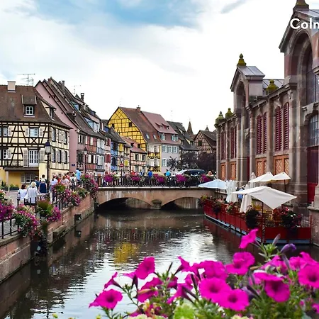 Capfun Suzel Camping Sainte-Croix-en-Plaine