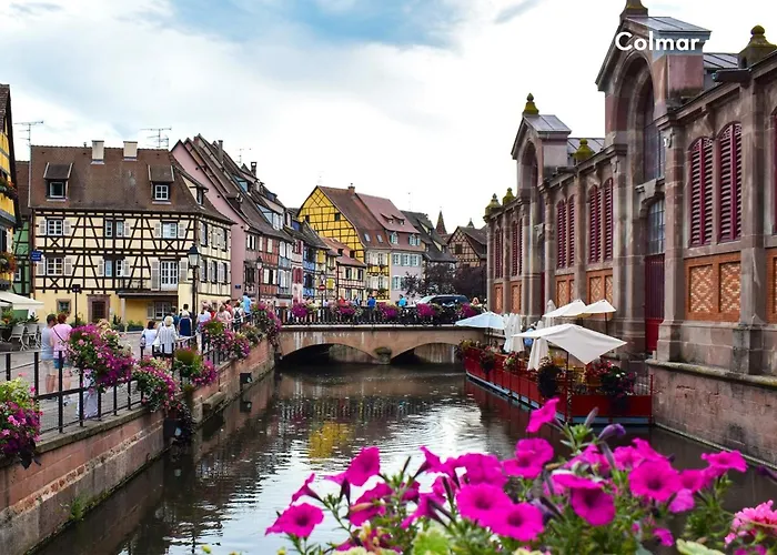 Capfun Suzel 营地 Sainte-Croix-en-Plaine